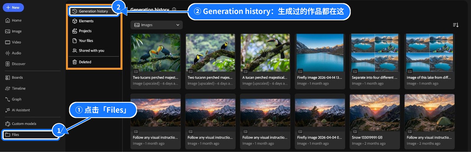 Files 页面，蓝框标出 Files 入口与 Generation history